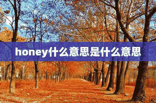 honey什么意思是什么意思